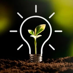 Sustainable Innovation